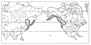 図1－③　東アジア―北米西部型の分布　ミズバショウ属 / Map 3 Examples of Eastern Asiatic-Western North American distribution type. Lysichiton