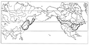 図1－⑥　東アジア―北米東部および西部型の分布　ミヤマハタザオ属(破線はvar. kamchaticaの分布域) / Map 6 Examples of Eastern Asiatic- Eastern and Western North American distribution type. Arabis lyrata (broken line shows the area of var. kamtschatica)